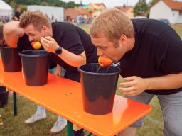 2026_Vereinsfestspiele
